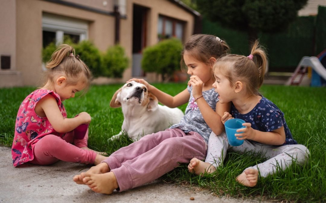 Le pillole di ottimismo 9 dicembre 2025