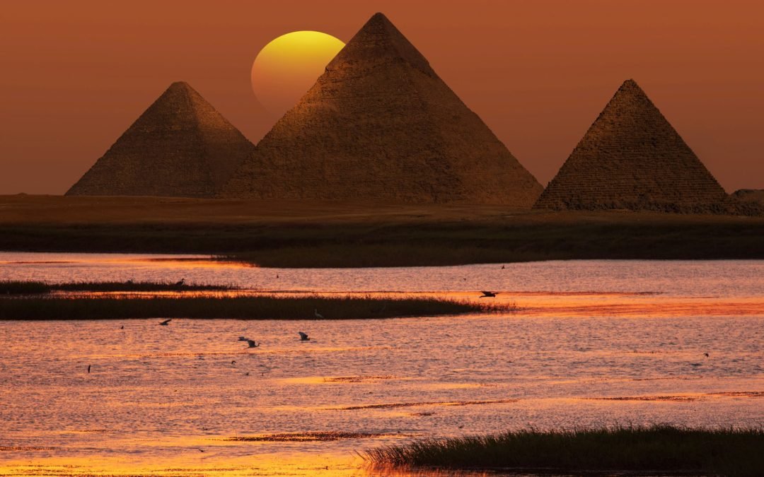 Le pillole di ottimismo 22 dicembre 2025