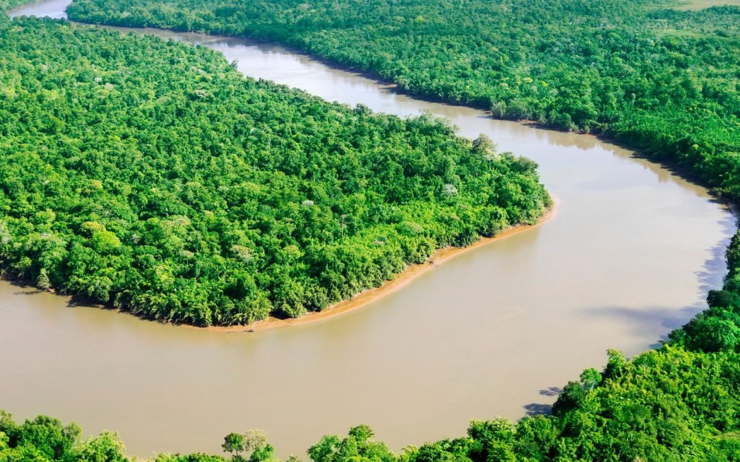 Le pillole di ottimismo 2025