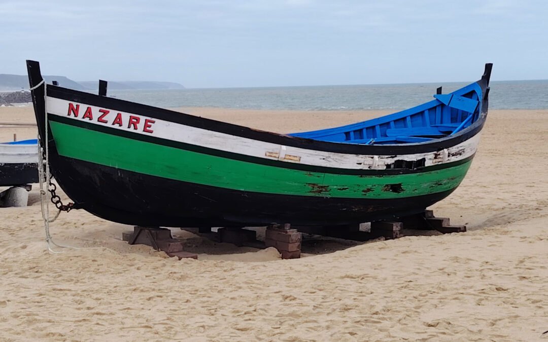 Una storia mistica (e anche un po’ surreale) di promesse, onde, surfisti e strani animaletti del mare.